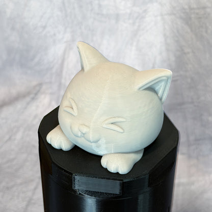 Excited Cat Twister