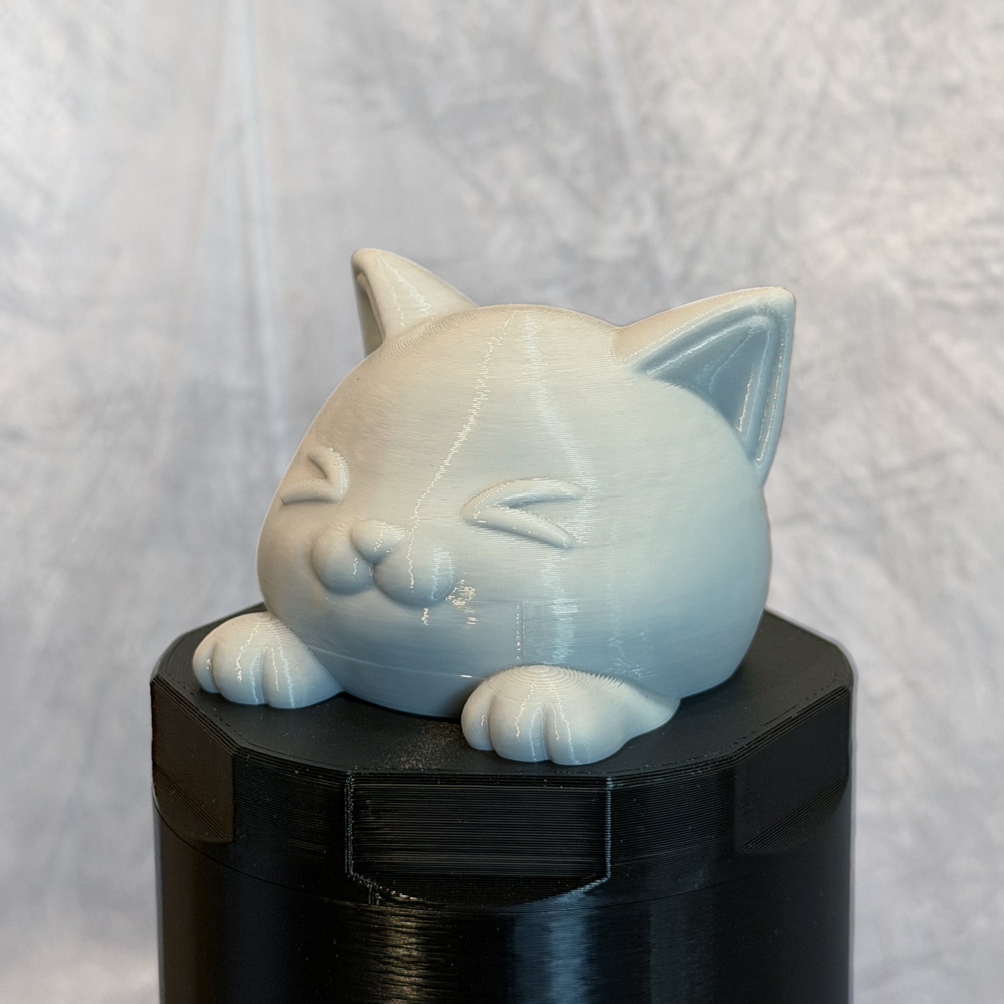 Excited Cat Twister
