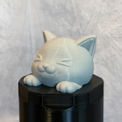 Excited Cat Twister