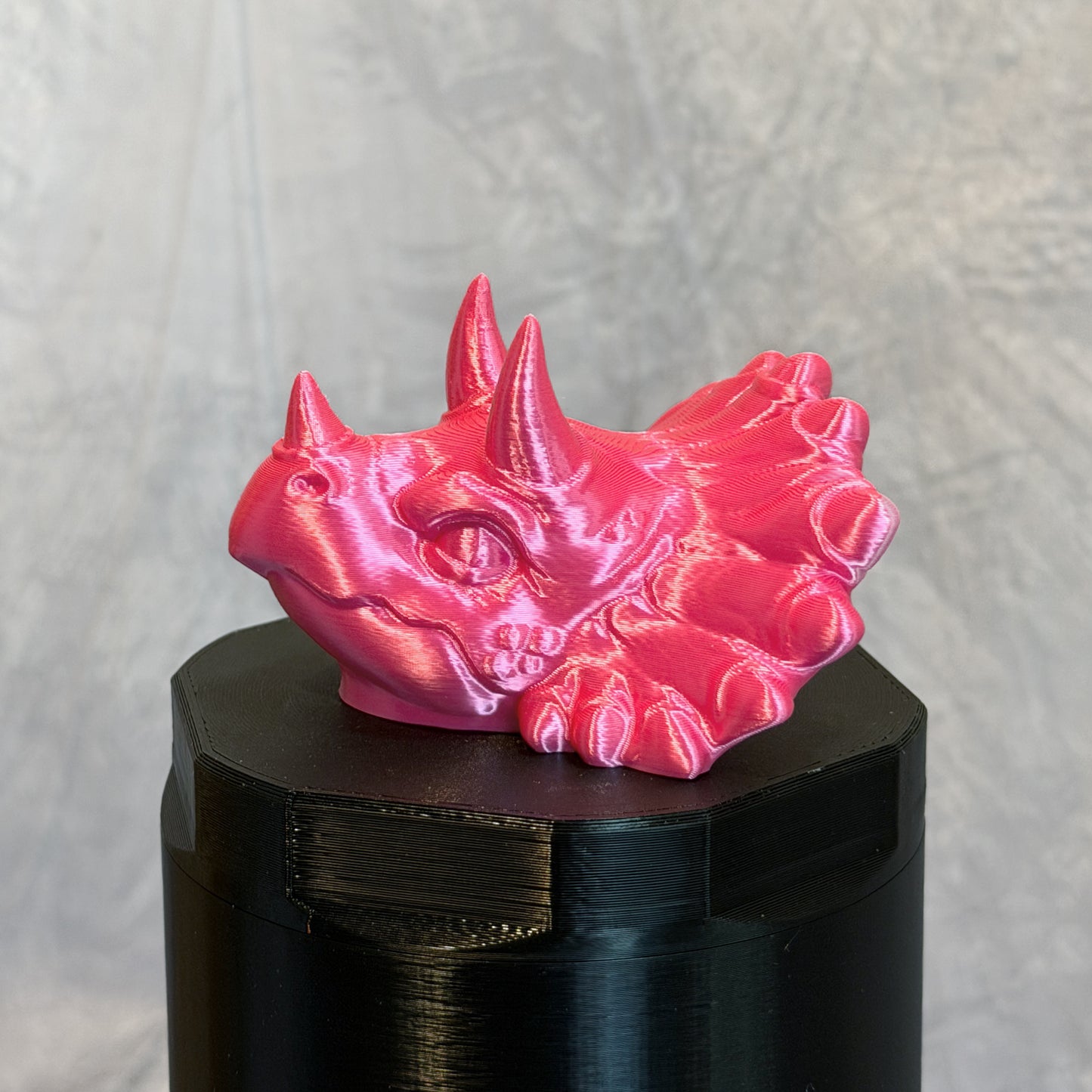 Triceratops Twister