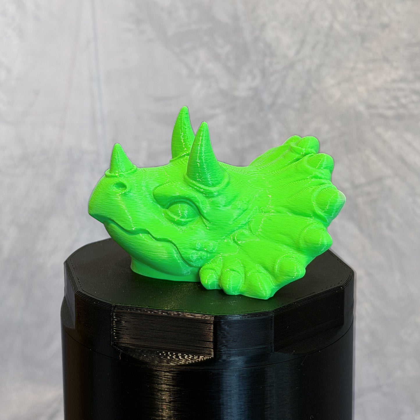 Triceratops Twister